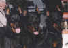 Groupe  Charleroi 1998