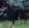 Photo GAD