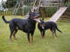 Upson et Zpo