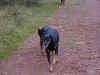 Zpo et Vicky