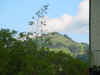 Appenzellpaysage.jpg (30112 octets)