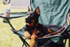 Photo de la semaine 05-08-2001