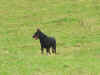 DSC00278.jpg (144900 octets)
