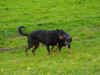 DSC00311.jpg (186980 octets)