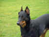 DSC00666.JPG (24923 octets)