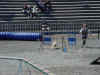 AGILITY2.JPG (48002 octets)